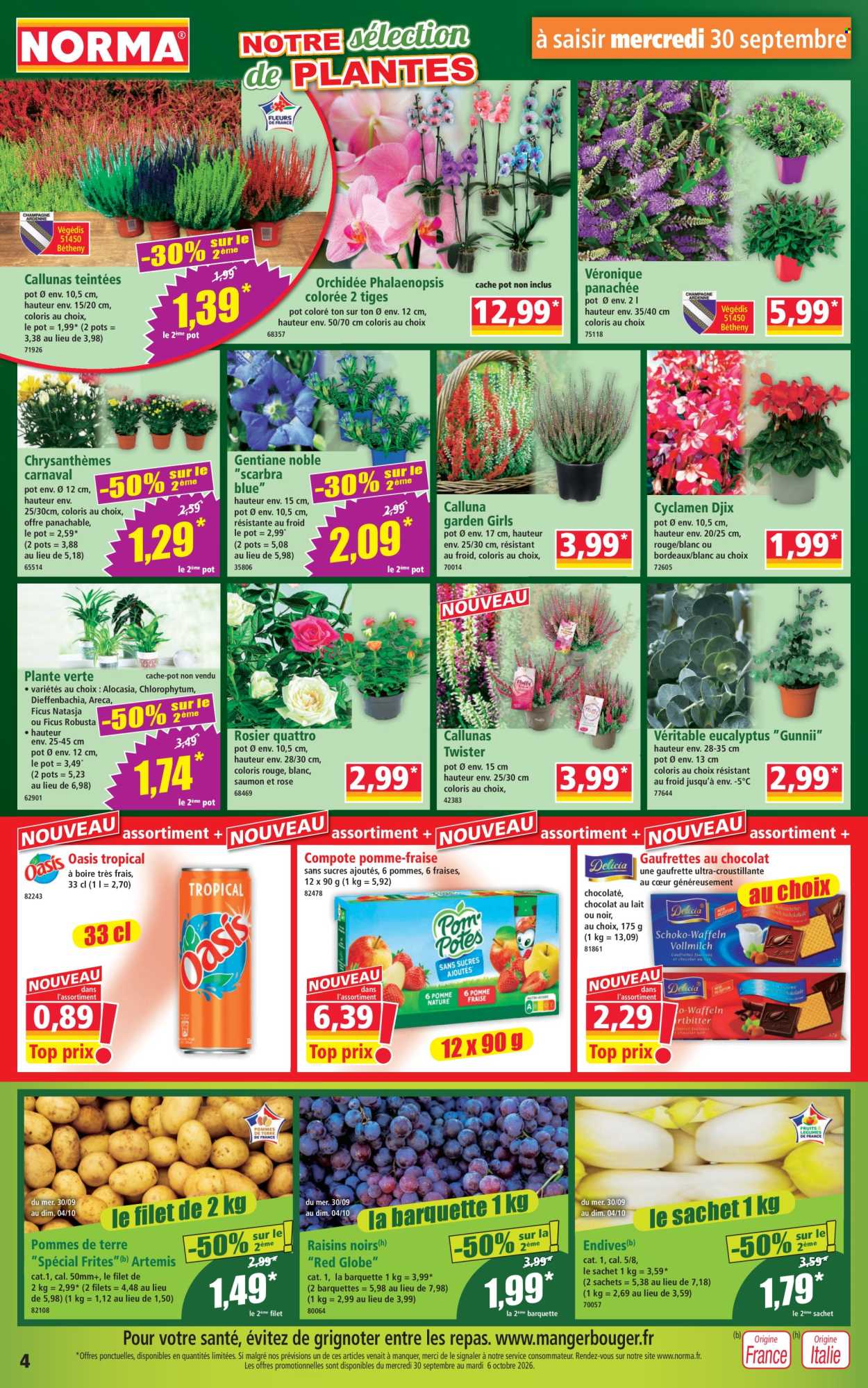 Catalogue Norma - 30/09/2026 - 06/10/2026. Page 4
