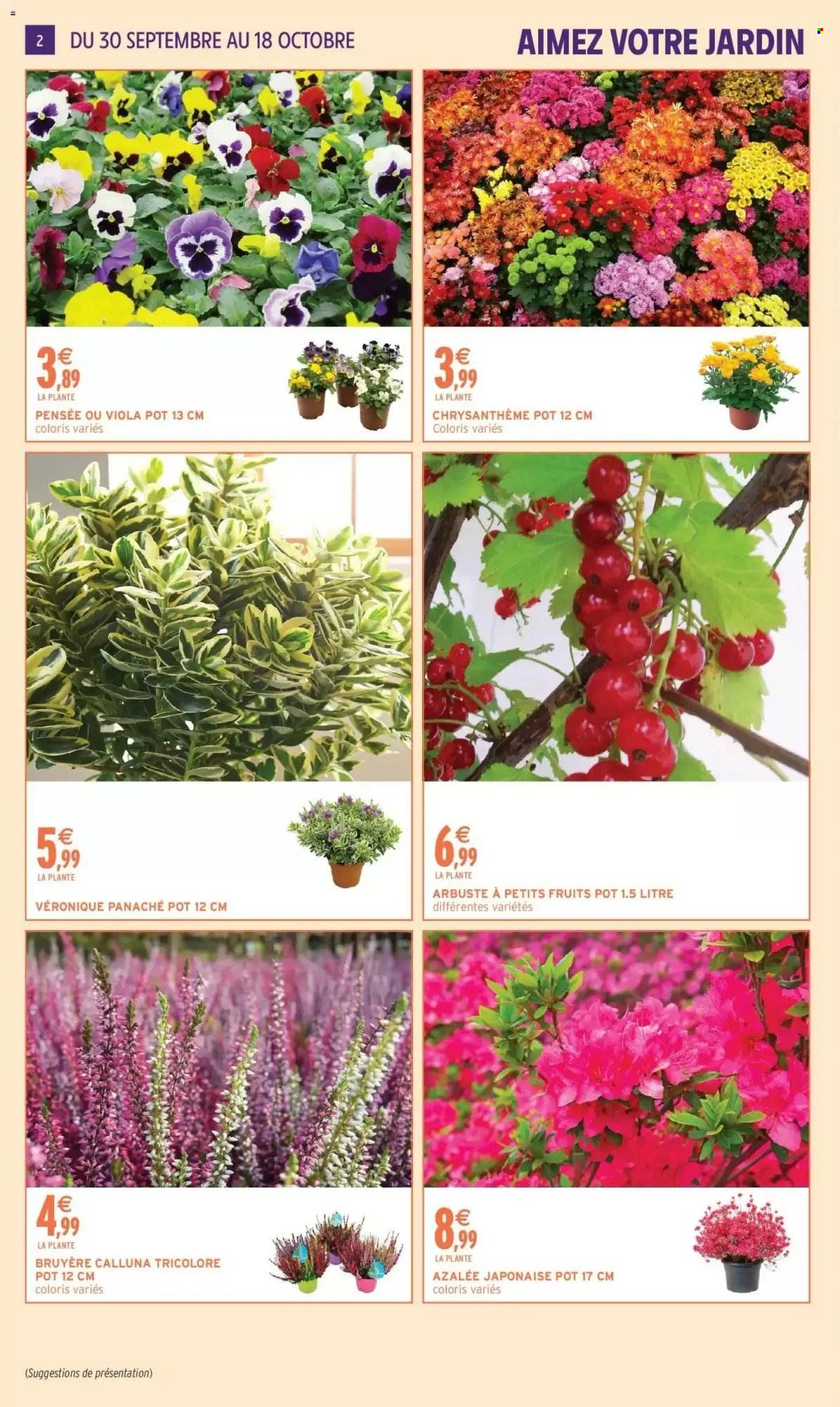 Catalogue Intermarché - 29/09/2026 - 18/10/2026. Page 2