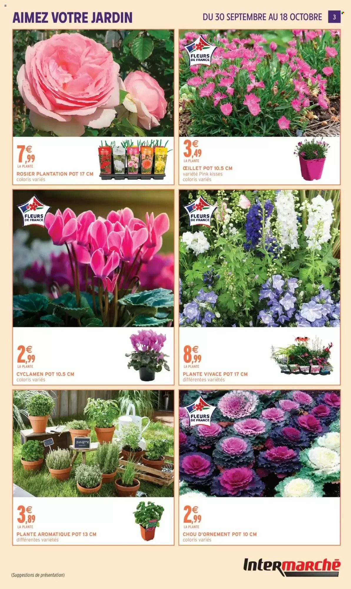 Catalogue Intermarché - 29/09/2026 - 18/10/2026. Page 3