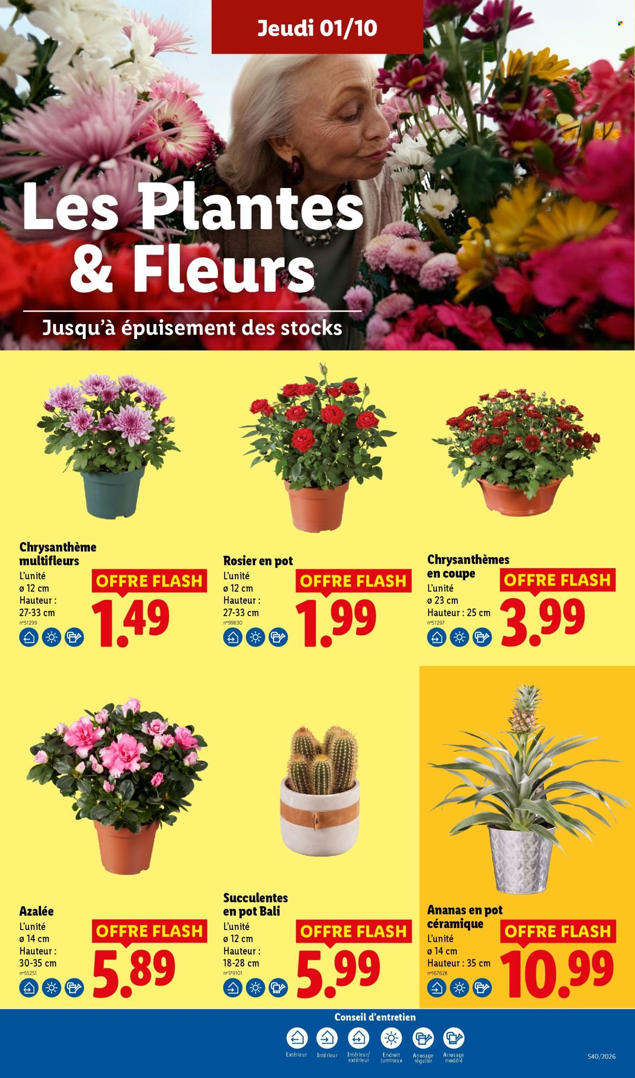 Catalogue Lidl - 01/10/2026 - 07/10/2026. Page 29