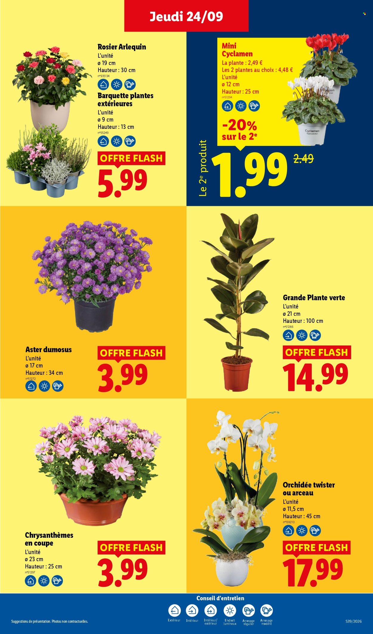 Catalogue Lidl - 24/09/2026 - 30/09/2026. Page 29