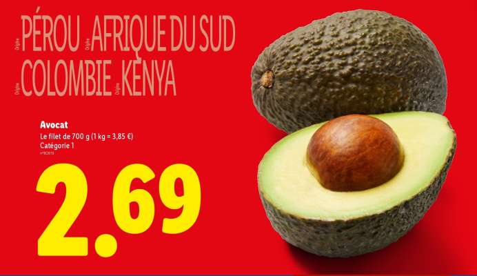 Avocat