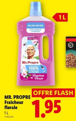 MR. PROPRE Fraîcheur florale