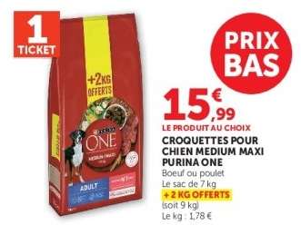 CROQUETTES POUR CHIEN MEDIUM MAXI PURINA ONE