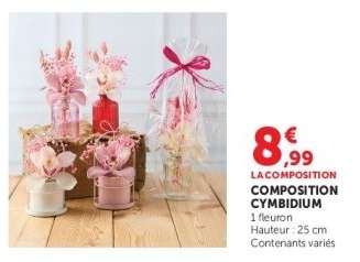 COMPOSITION CYMBIDIUM