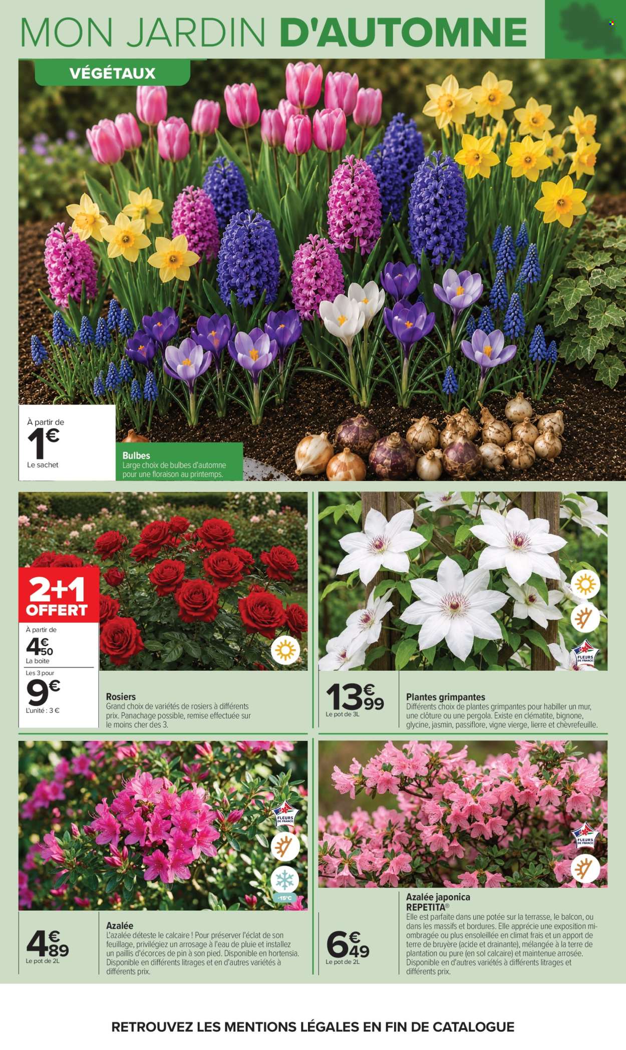 Catalogue Carrefour Hypermarchés - 29/09/2026 - 12/10/2026. Page 4