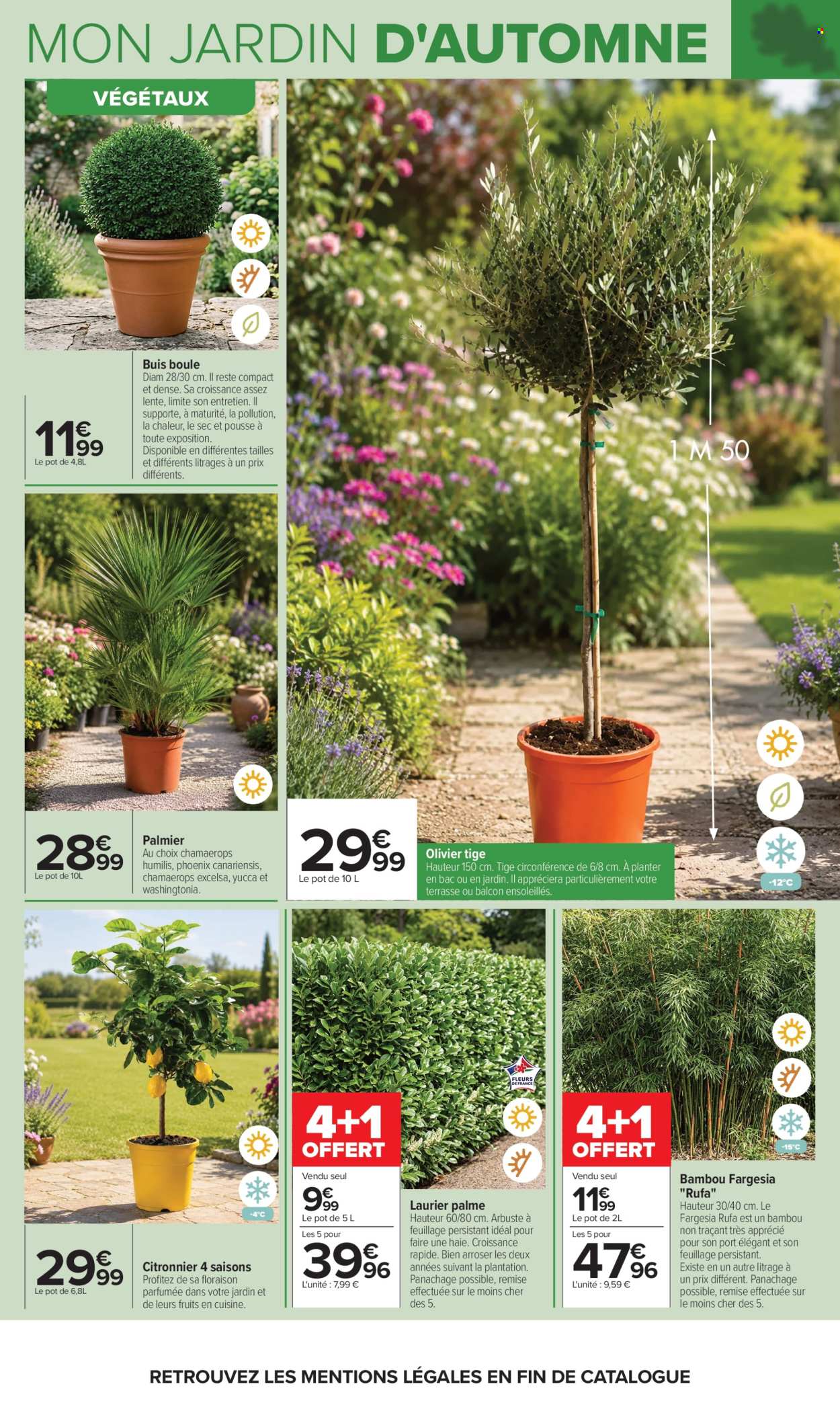 Catalogue Carrefour Hypermarchés - 29/09/2026 - 12/10/2026. Page 5