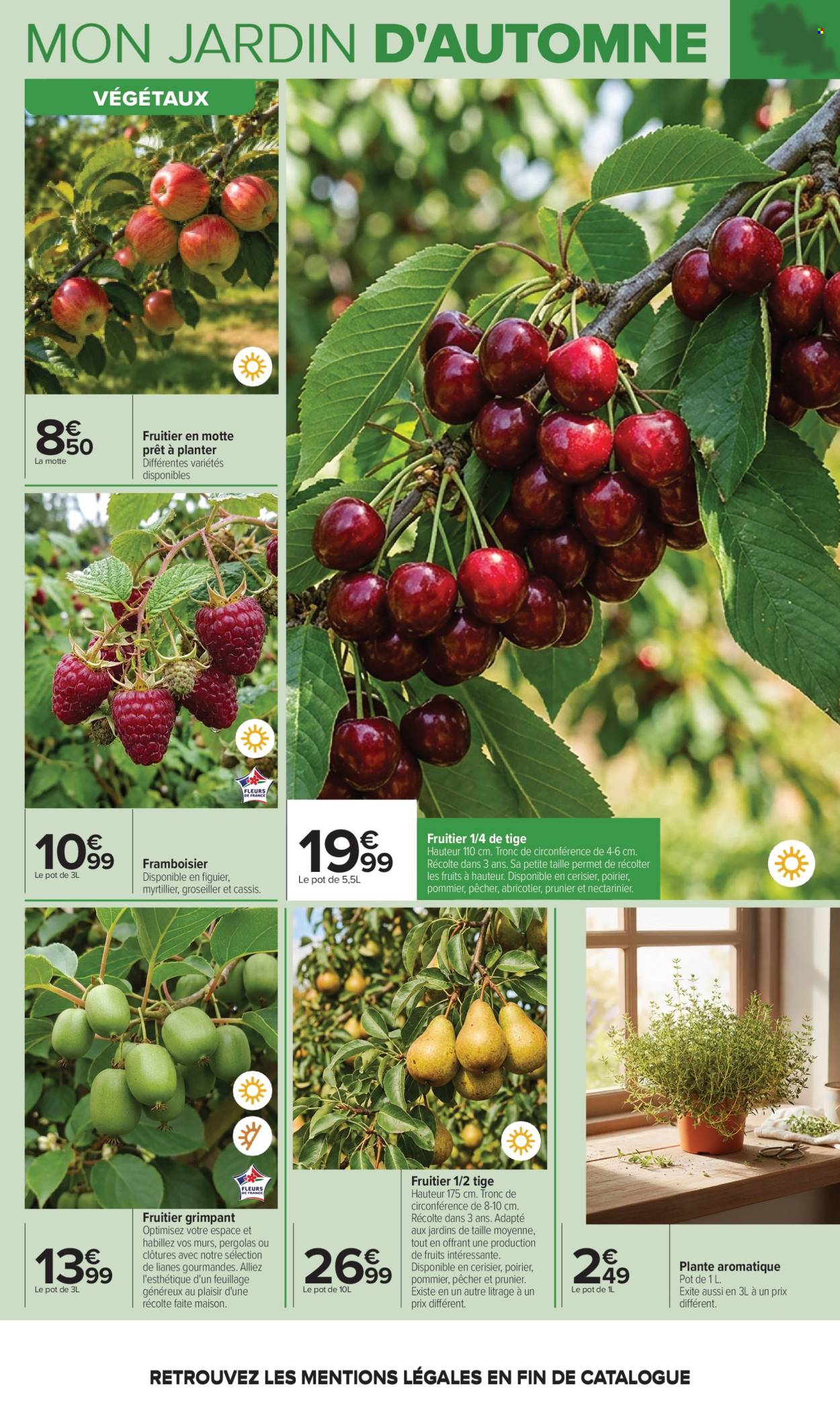 Catalogue Carrefour Hypermarchés - 29/09/2026 - 12/10/2026. Page 6