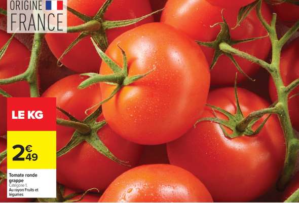 Tomate ronde grappe Calopéol