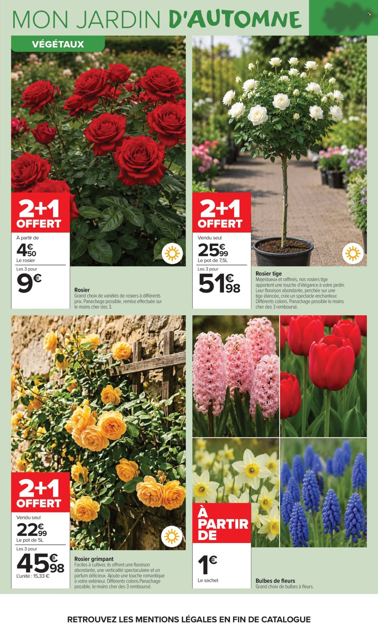 Catalogue Carrefour Market - 22/09/2026 - 11/10/2026. Page 3
