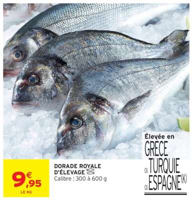 DORADE ROYALE D'ÉLEVAGE