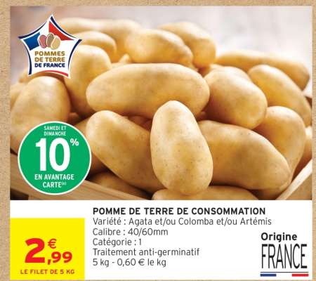 POMME DE TERRE DE CONSOMMATION