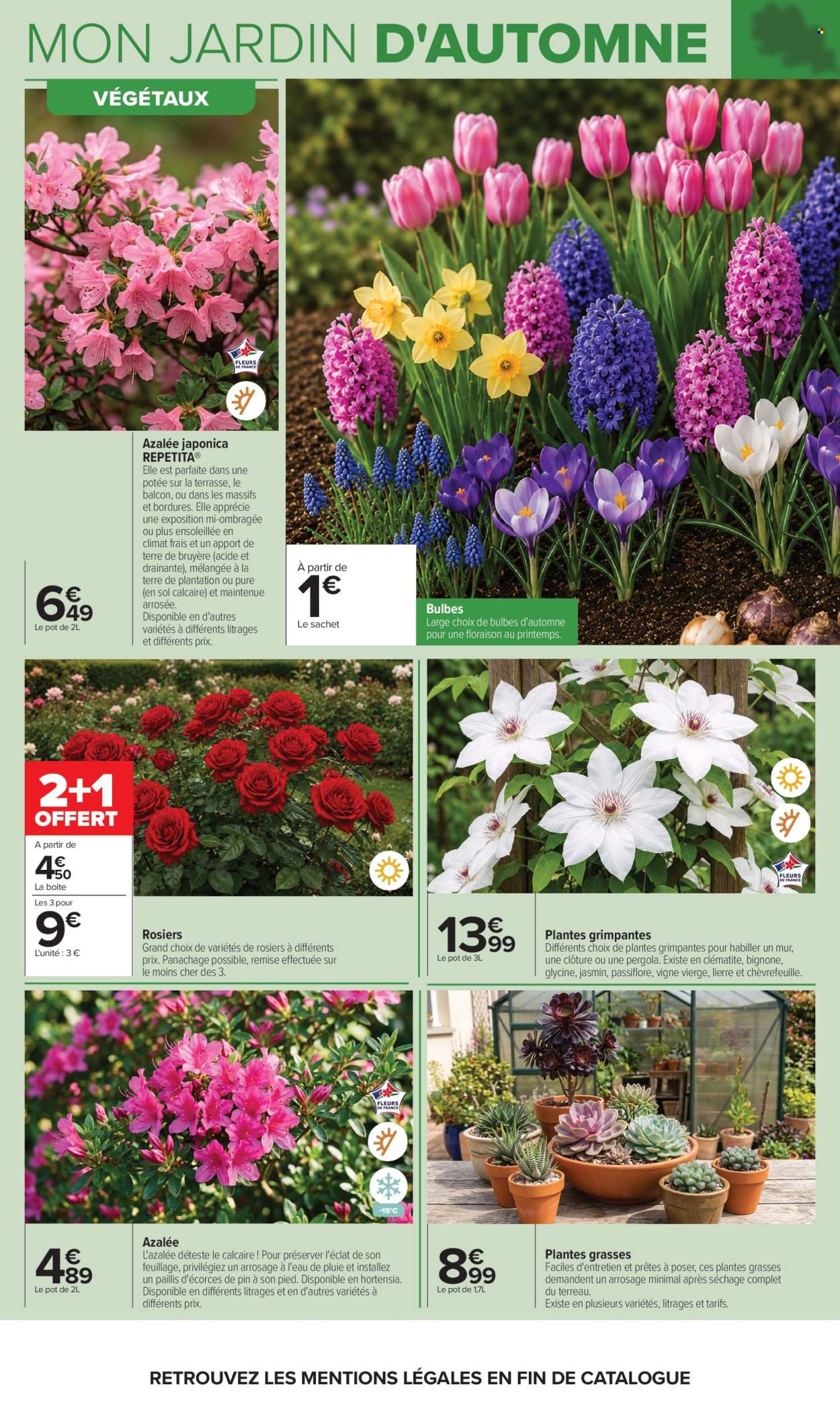 Catalogue Carrefour Hypermarchés - 29/09/2026 - 12/10/2026. Page 4