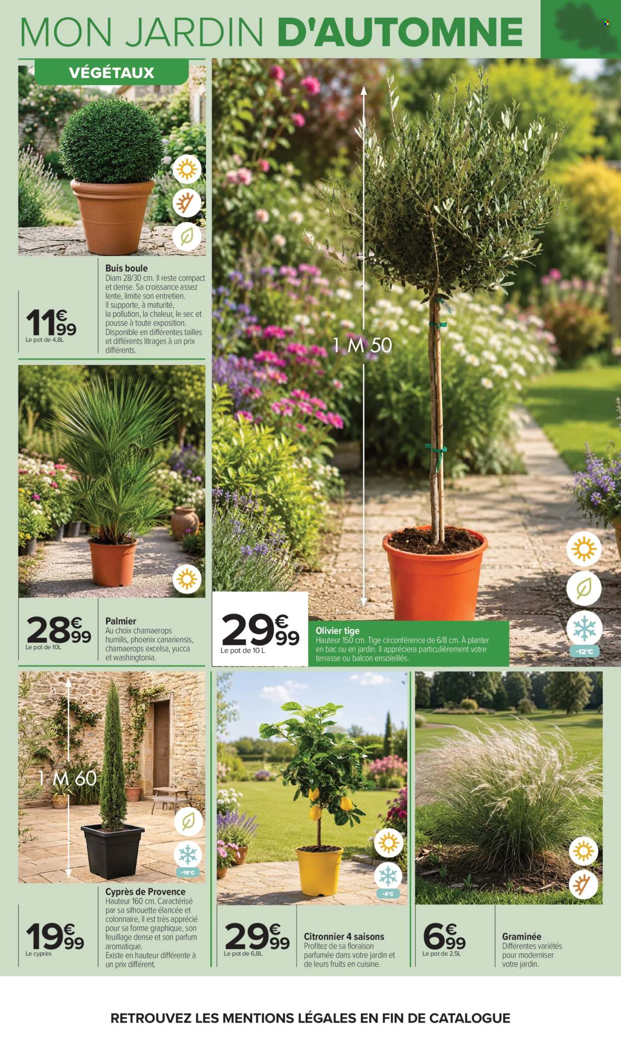Catalogue Carrefour Hypermarchés - 29/09/2026 - 12/10/2026. Page 5