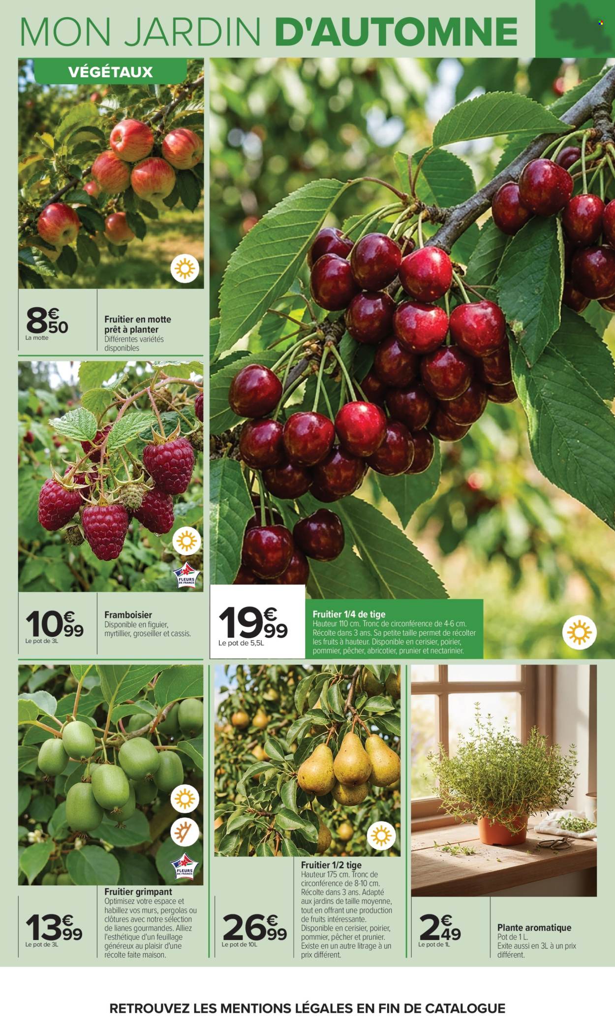 Catalogue Carrefour Hypermarchés - 29/09/2026 - 12/10/2026. Page 7