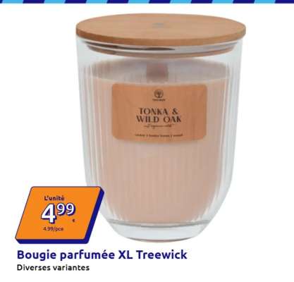 Bougie parfumée XL Treewick