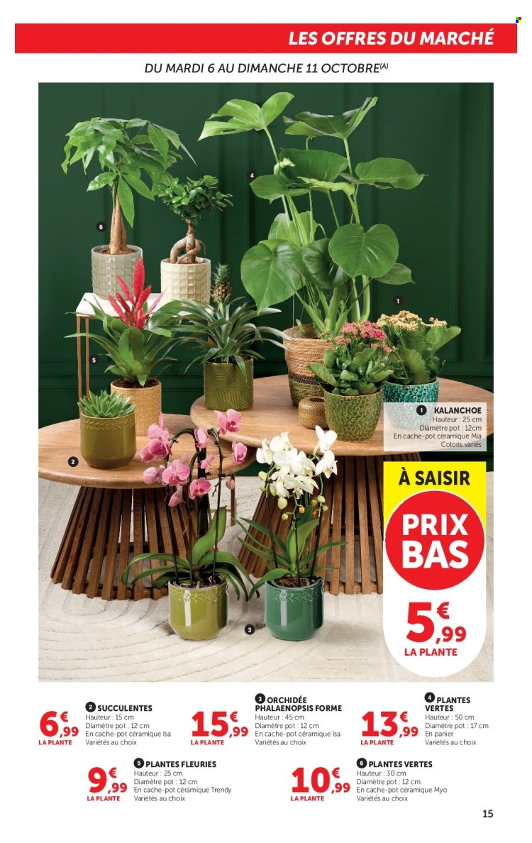 Catalogue SUPER U - 06/10/2026 - 18/10/2026. Page 15