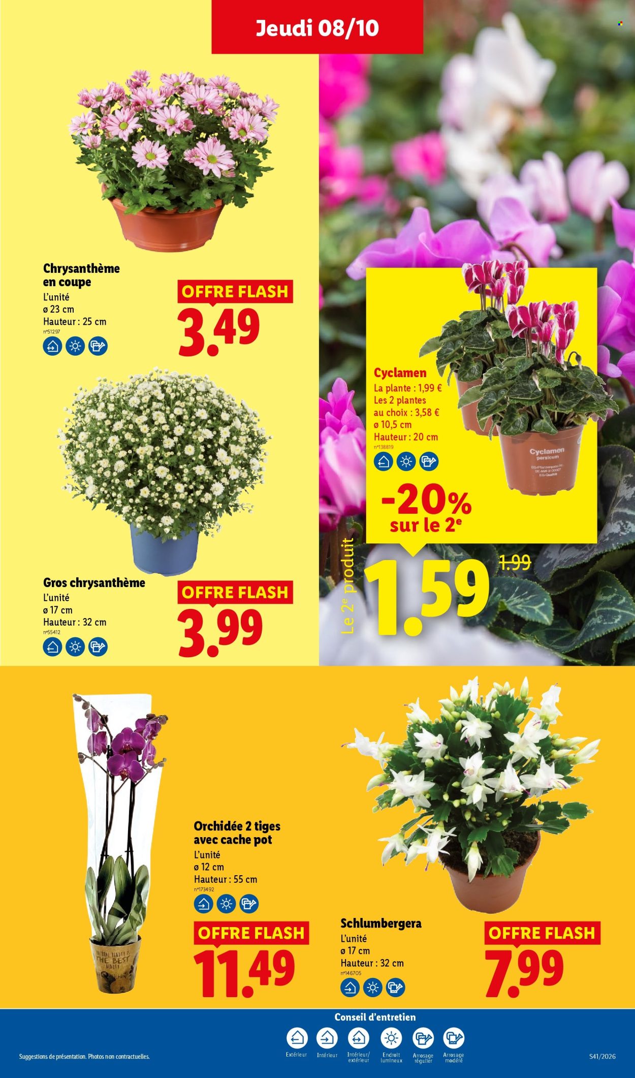 Catalogue Lidl - 08/10/2026 - 14/10/2026. Page 29