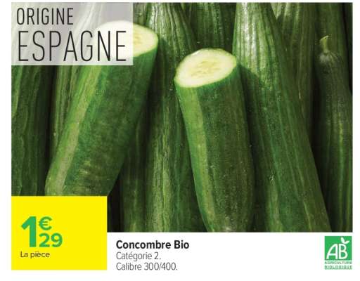 Concombre BIO