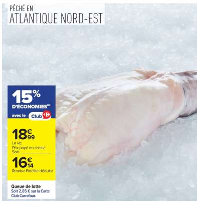 QUEUE DE LOTTE