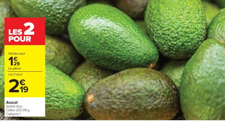 Avocat