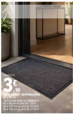 TAPIS “ARVIX” ANTIPOUSSIÈRE