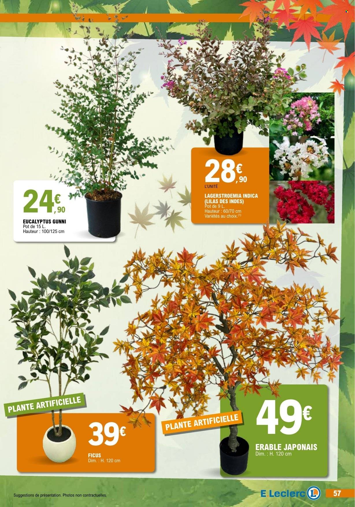 Catalogue E.Leclerc - 06/10/2026 - 17/10/2026. Page 57