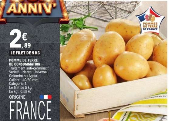POMME DE TERRE DE CONSOMMATION