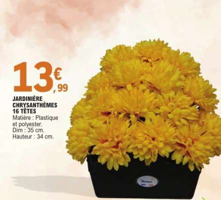 JARDINIÈRE CHRYSANTHÈMES 16 TÊTES