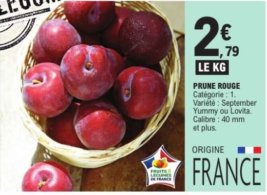 PRUNE ROUGE