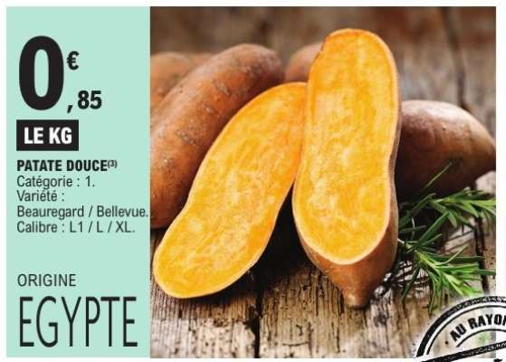 PATATE DOUCE