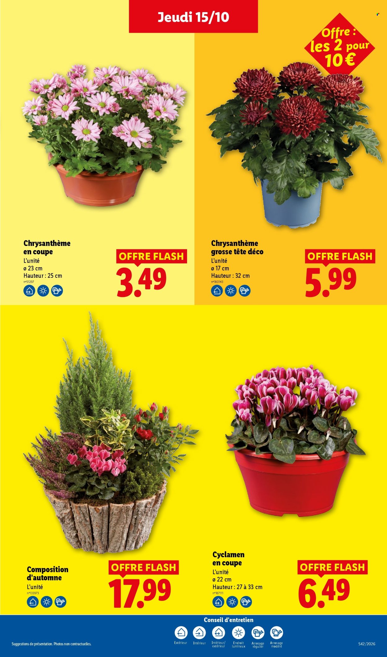 Catalogue Lidl - 15/10/2026 - 21/10/2026. Page 41
