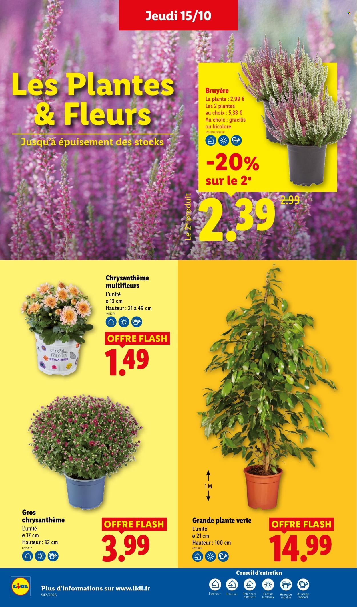 Catalogue Lidl - 15/10/2026 - 21/10/2026. Page 40