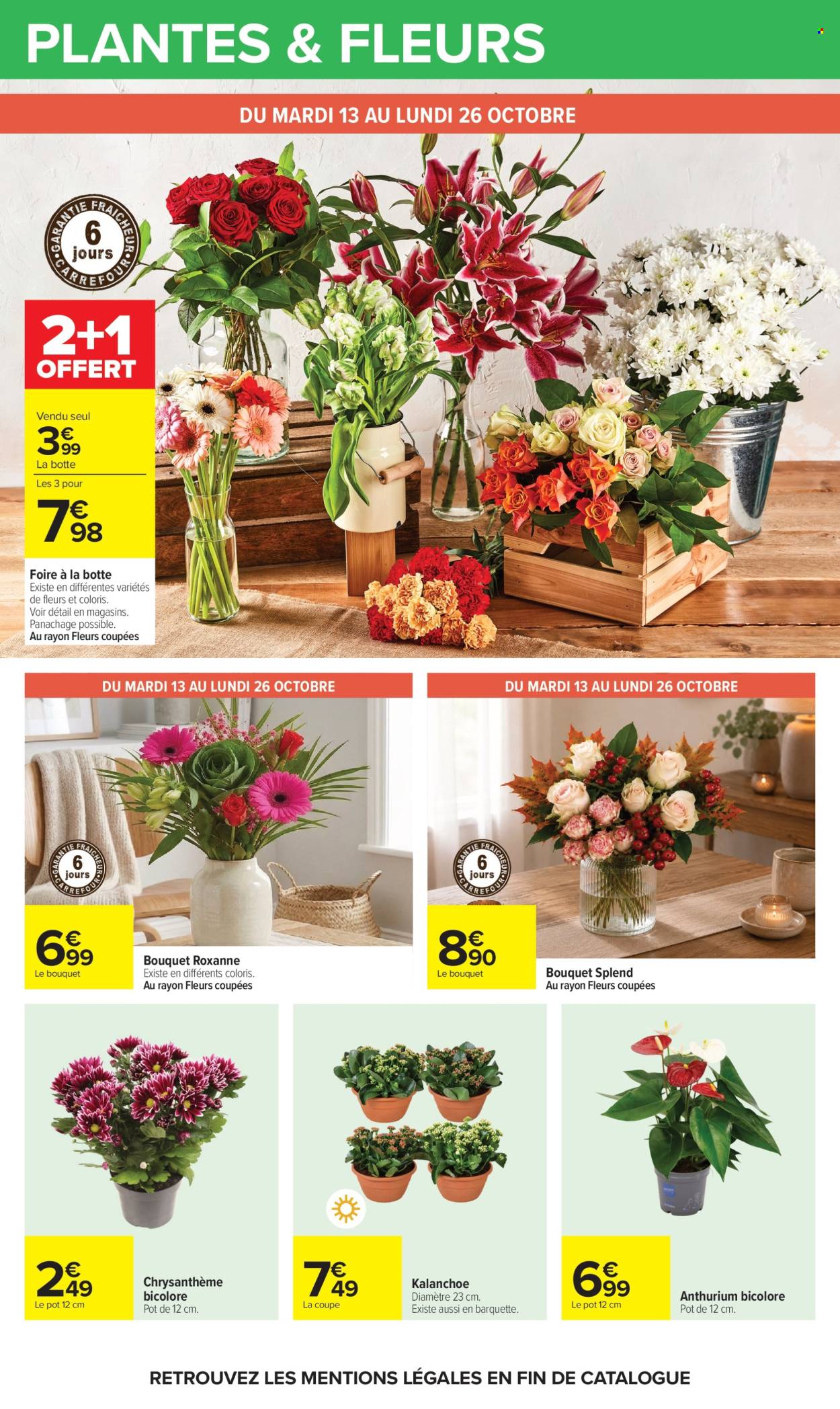 Catalogue Carrefour Hypermarchés - 13/10/2026 - 26/10/2026. Page 74