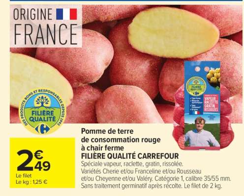 Pomme de terre de consommation rouge à chair ferme