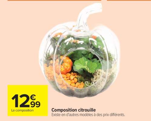 Composition citrouille