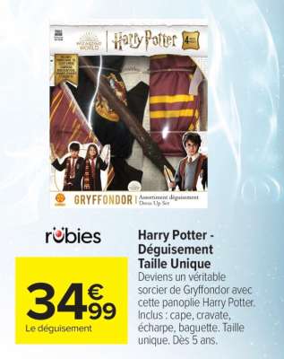 Harry Potter - Déguisement Taille Unique
