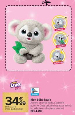 Mon bébé koala