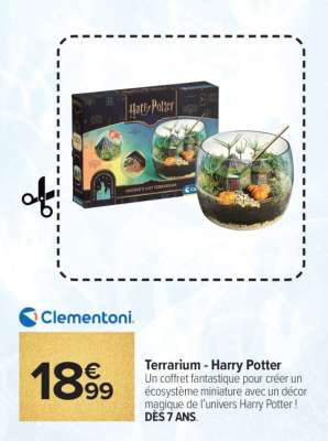 Terrarium - Harry Potter