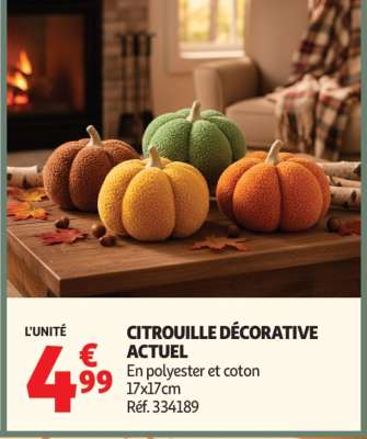 CITROUILLE DÉCORATIVE ACTUEL