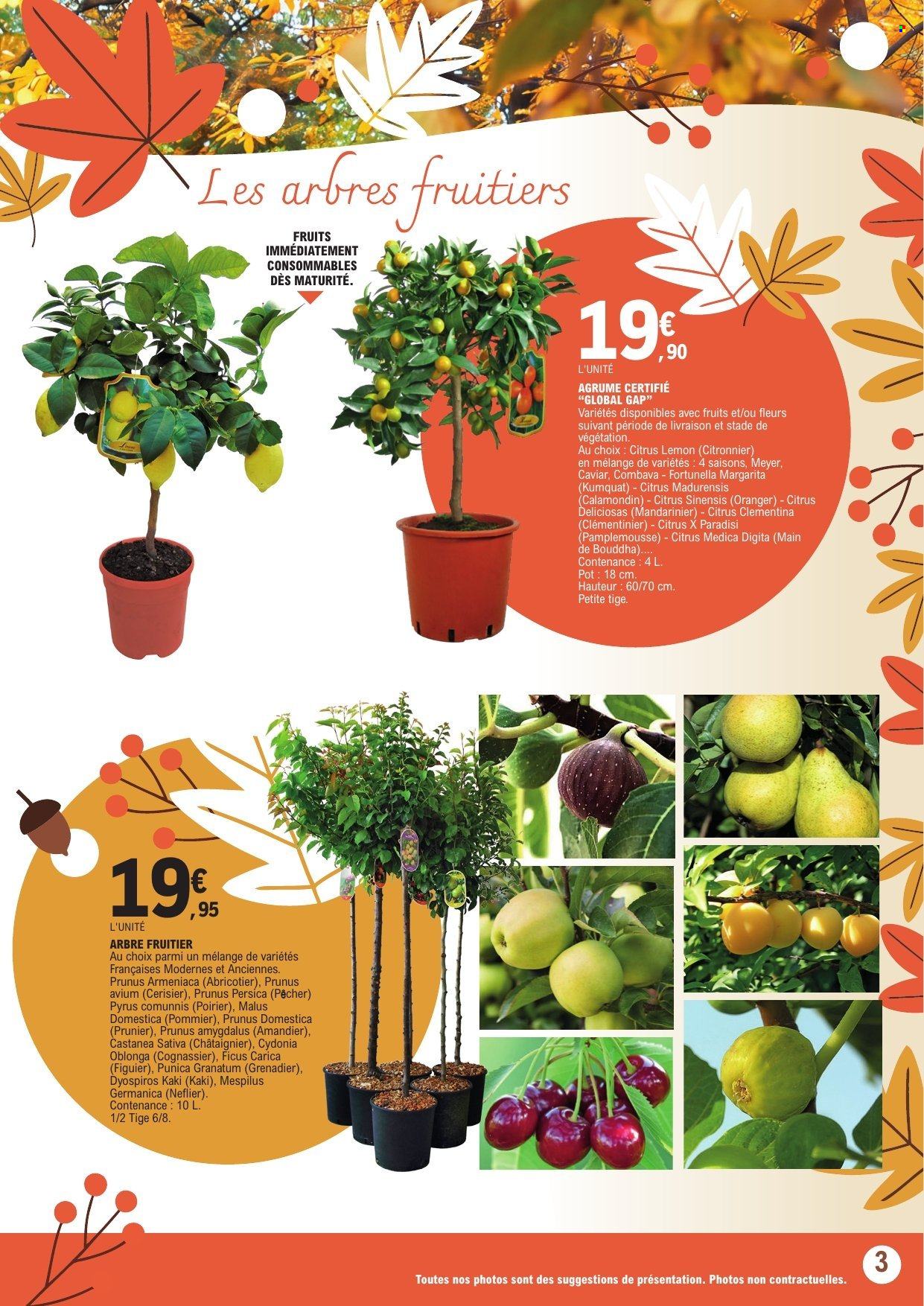 Catalogue E.Leclerc - 13/10/2026 - 24/10/2026. Page 3