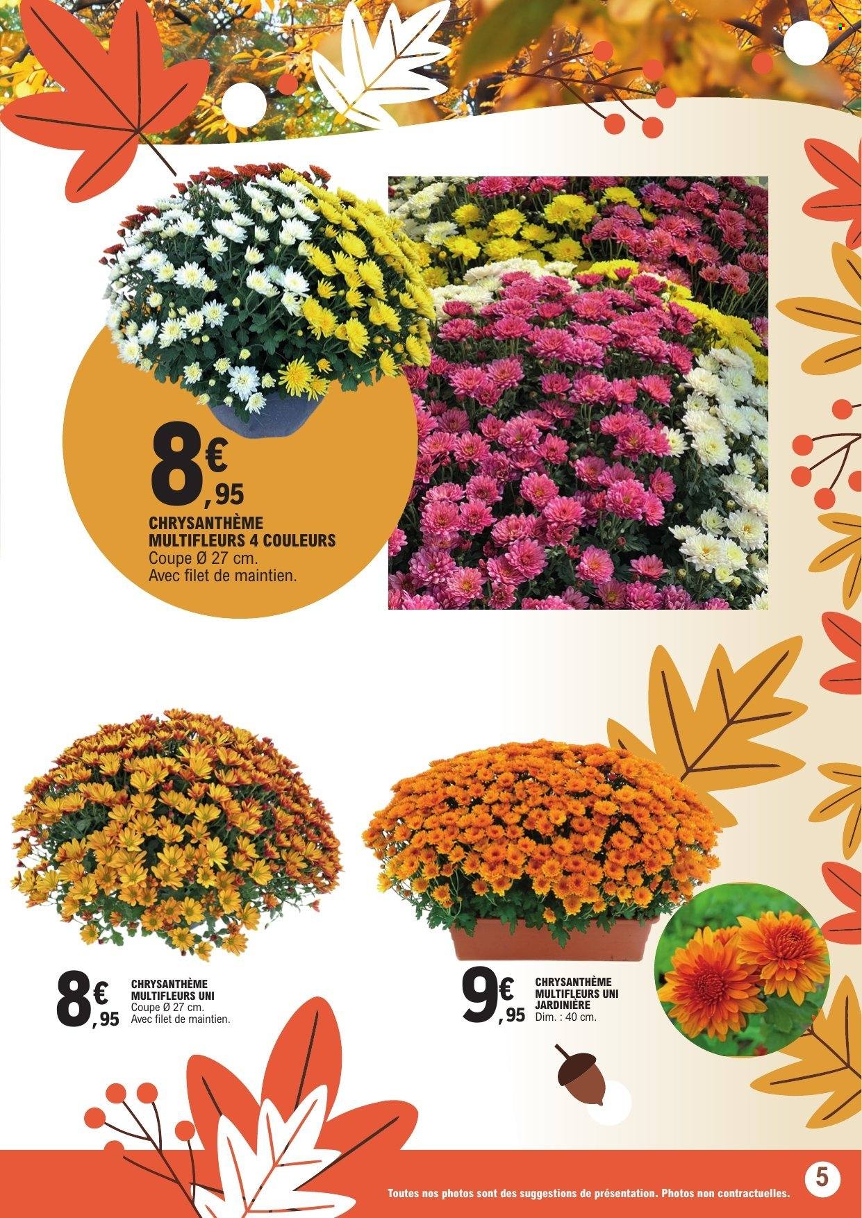 Catalogue E.Leclerc - 13/10/2026 - 24/10/2026. Page 5
