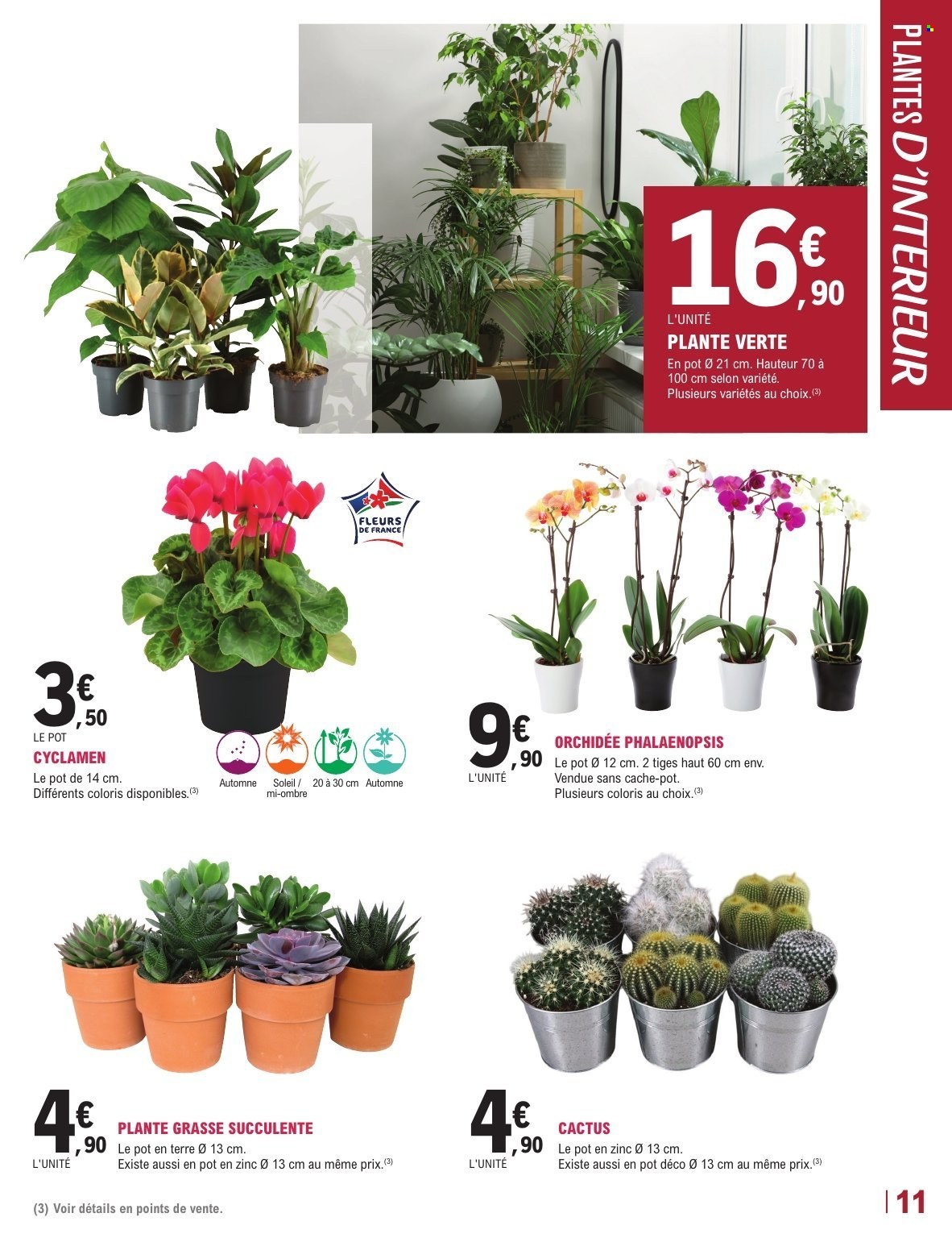 Catalogue E.Leclerc - 13/10/2026 - 24/10/2026. Page 11