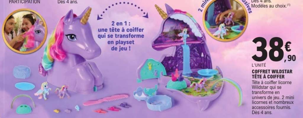 COFFRET WILDSTAR TÊTE À COIFFER
