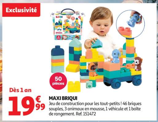 MAXI BRIQUI