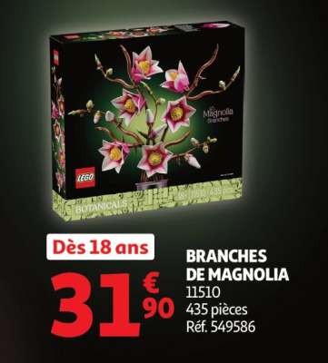 Branches de magnolia
