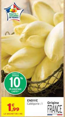 ENDIVE