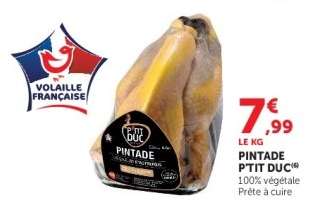 PINTADE P'TIT DUC