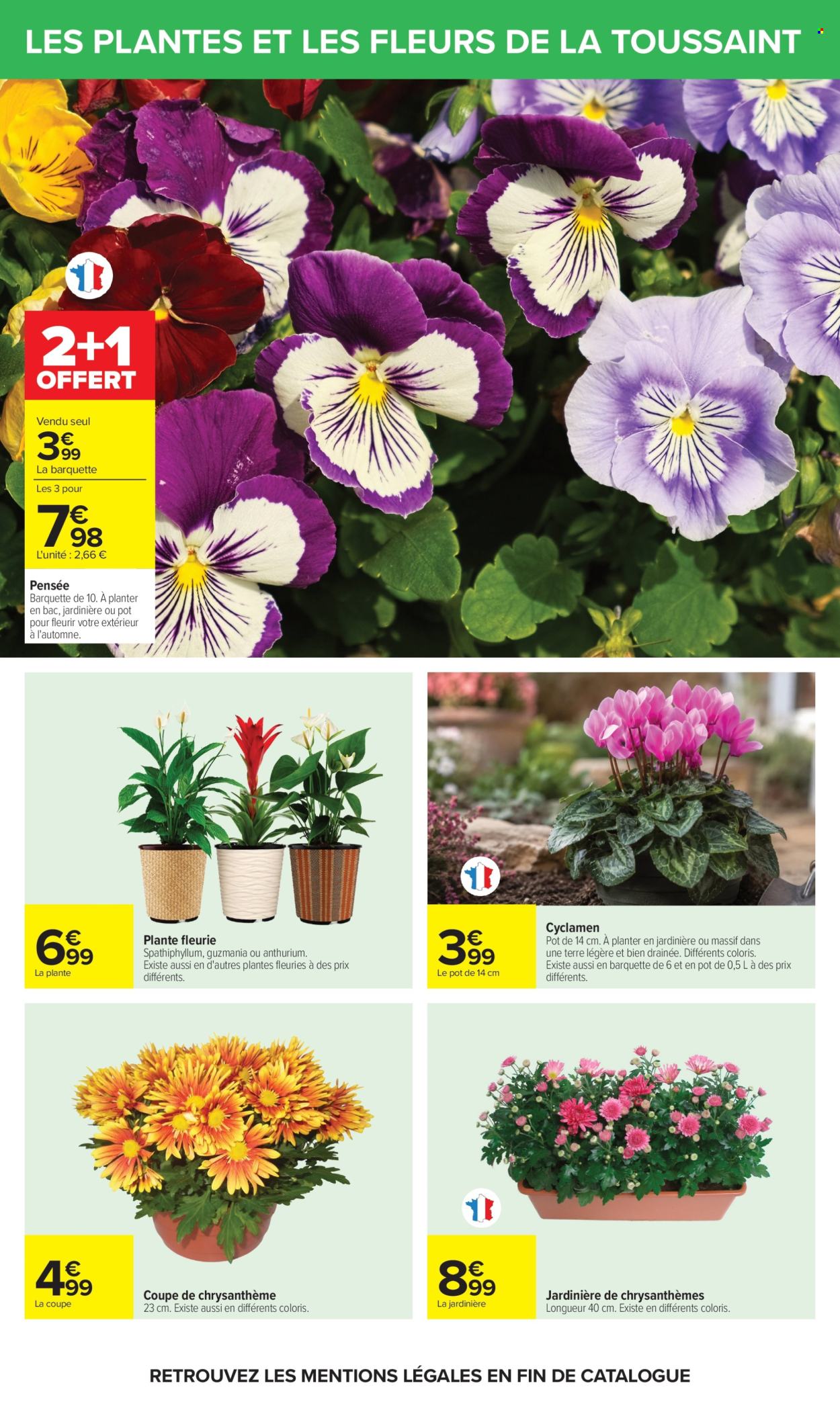 Catalogue Carrefour Hypermarchés - 20/10/2026 - 02/11/2026. Page 69