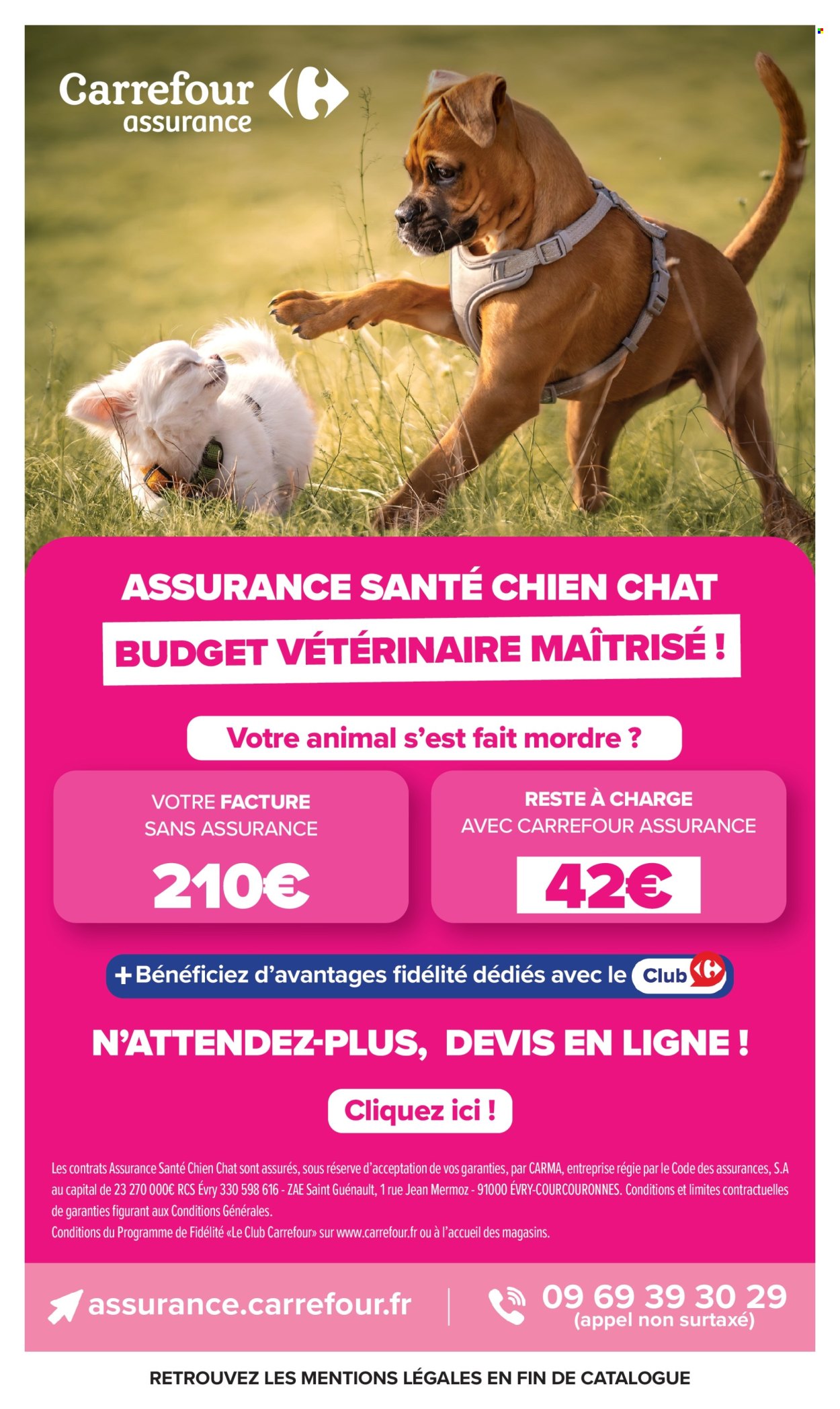 Catalogue Carrefour Market - 20/10/2026 - 01/11/2026. Page 42